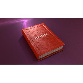 3D Book c4d Rigged model